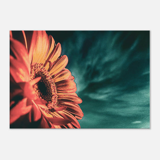 81b586e3-434f-4977-845f-0434fd3ae94e