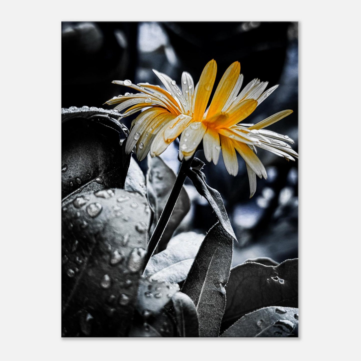 81c27f47-2160-484e-b86e-2448d8e9e351