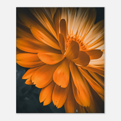 81c765f6-7c73-4aa9-8cdd-3ff7aa6f8c9b