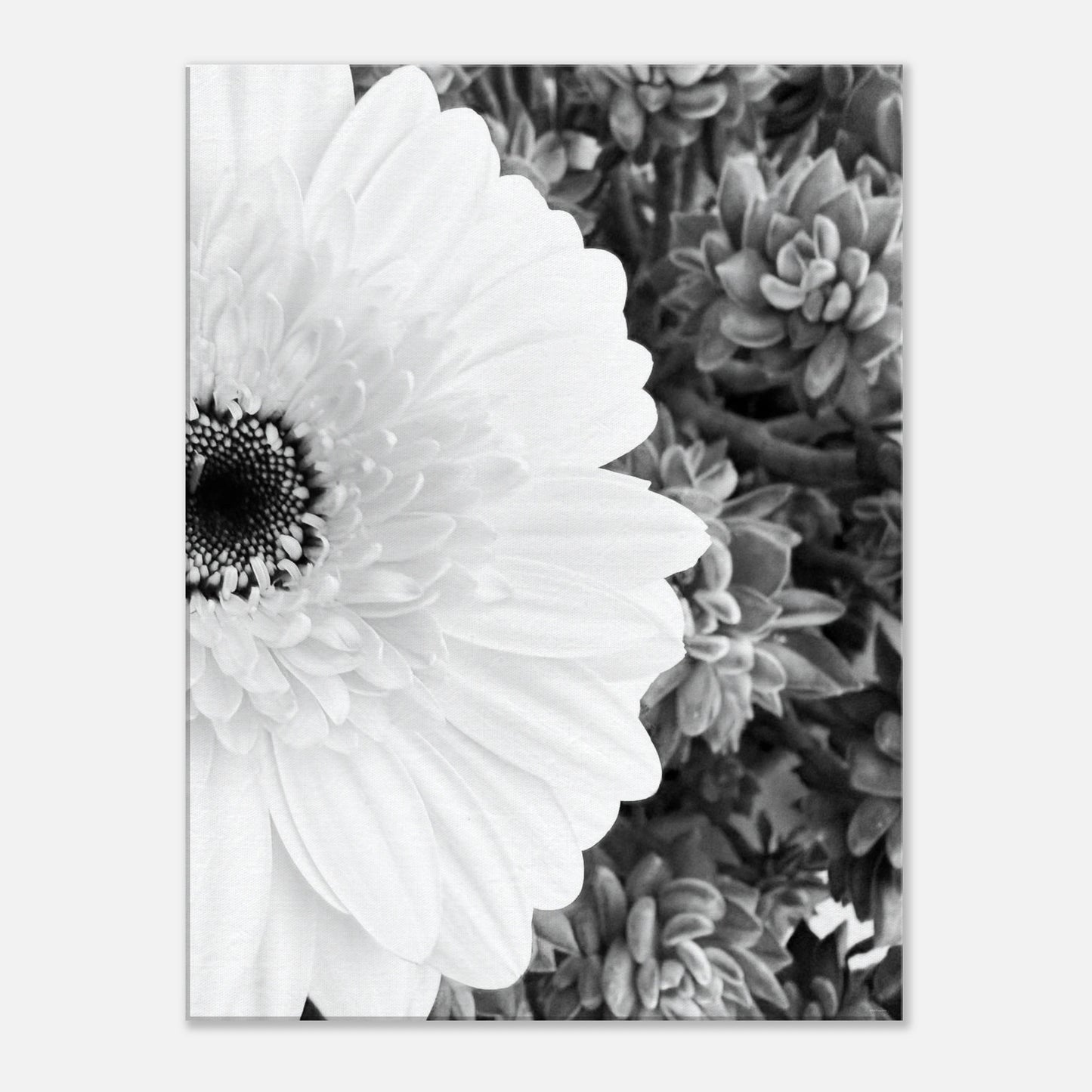 81c9f770-31aa-436b-94f9-485f00590281