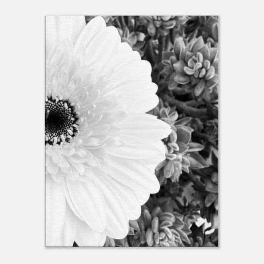 81c9f770-31aa-436b-94f9-485f00590281