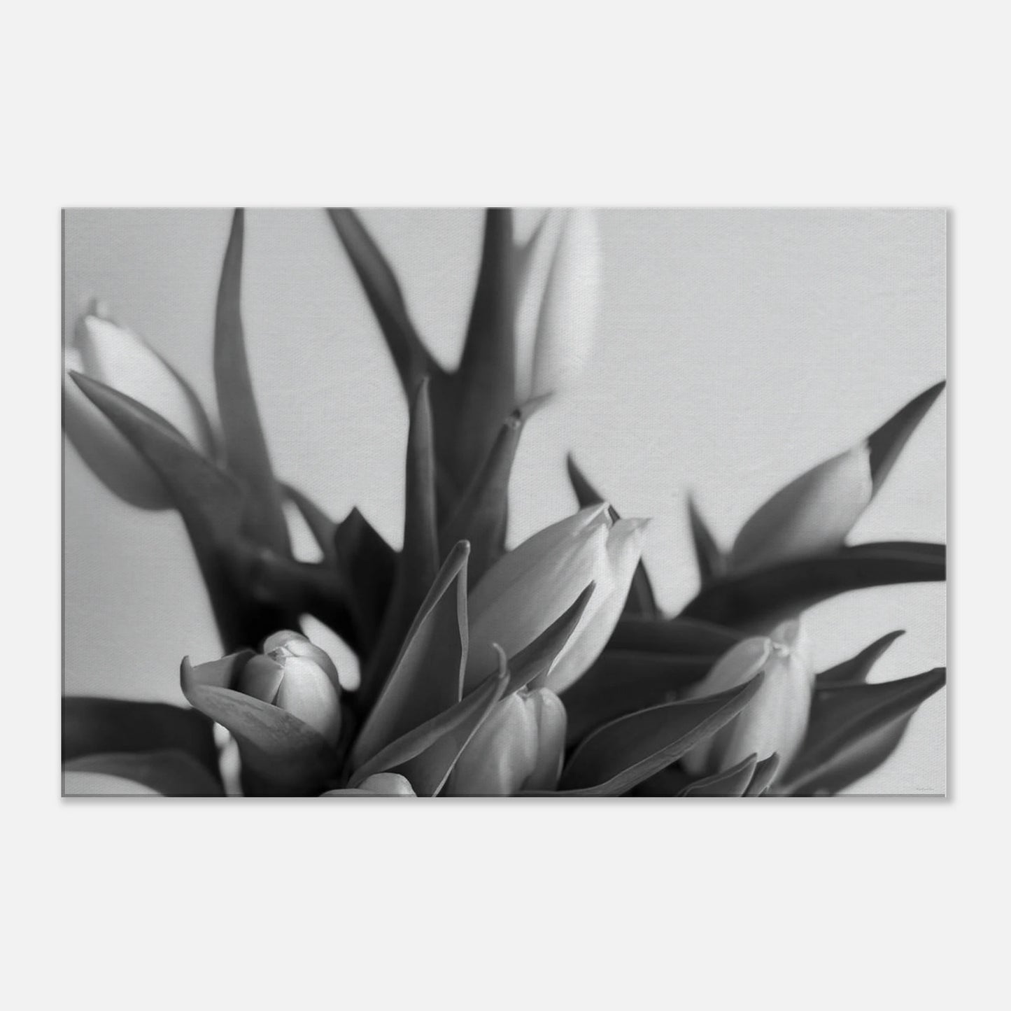 81dec643-544f-44ca-bdee-7a6d32fc2598