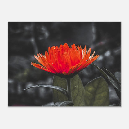 81df9ec1-eb7c-46f7-9e81-99e060a1c54b