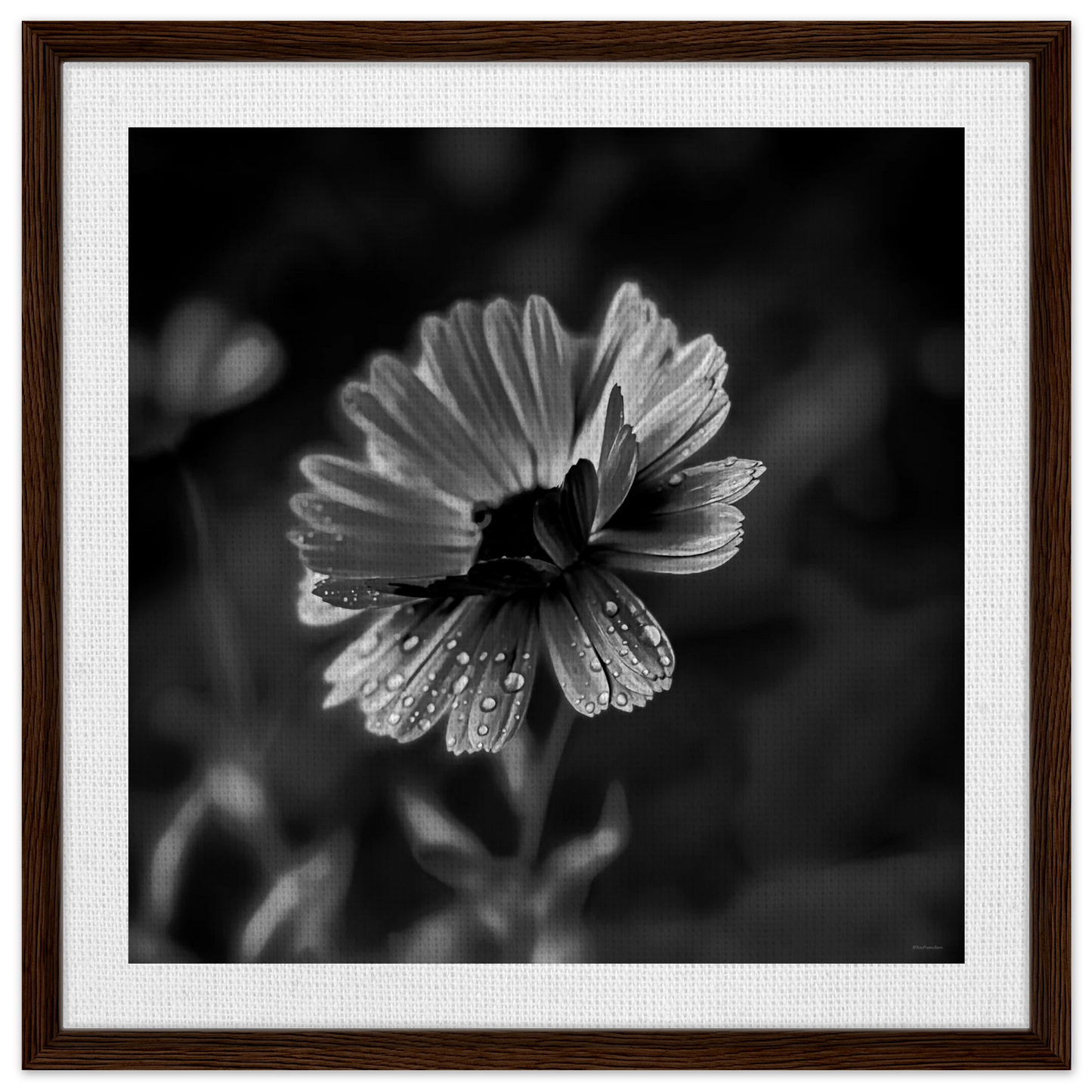 81e9bef8-89e8-4ee6-9cc7-fc4a31587c14