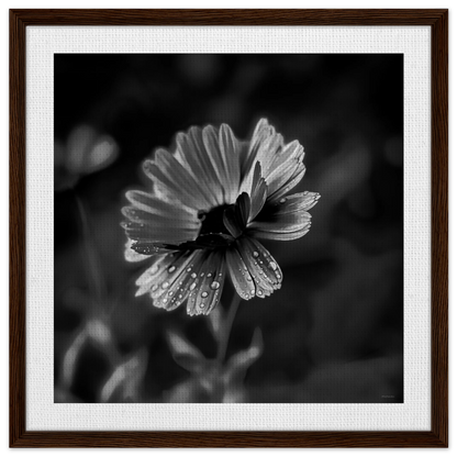 81e9bef8-89e8-4ee6-9cc7-fc4a31587c14