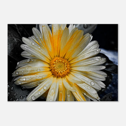 81f684b1-d1aa-4c88-8679-30c1e34f707e