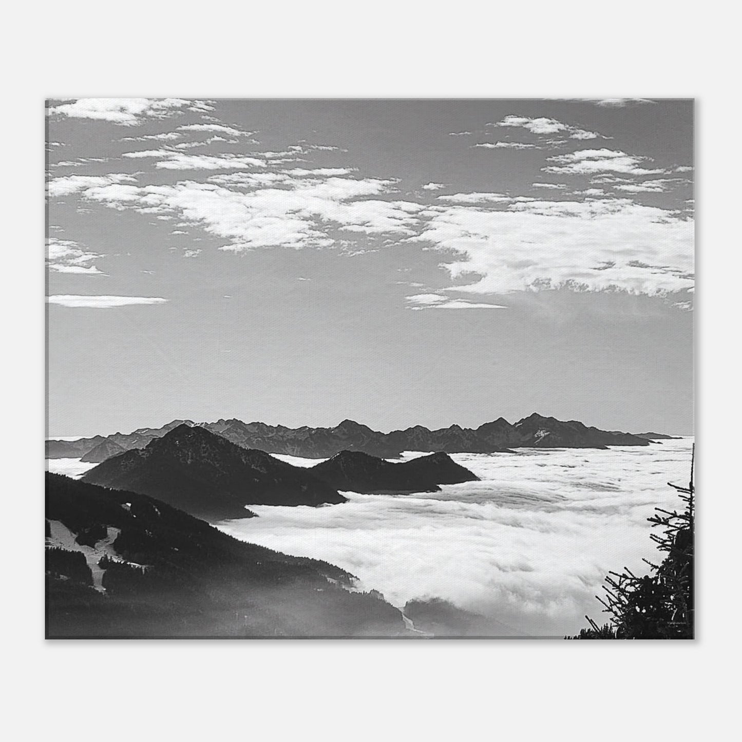 821df606-8d76-490c-aa96-44e875253a8c