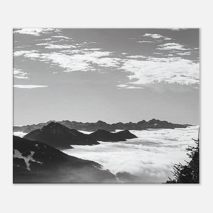 821df606-8d76-490c-aa96-44e875253a8c