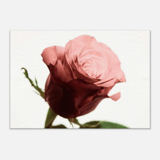 823e7119-fe1a-4b91-823b-a8b7f34f1633