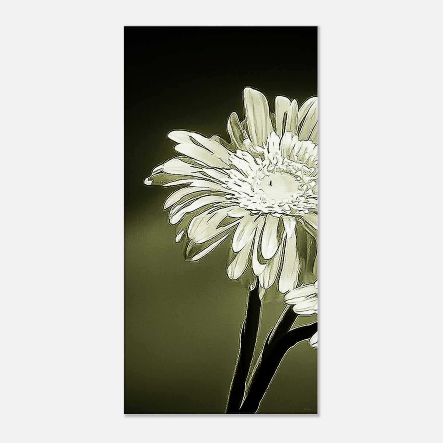 8255ce24-551b-4410-8f1c-1772418be614