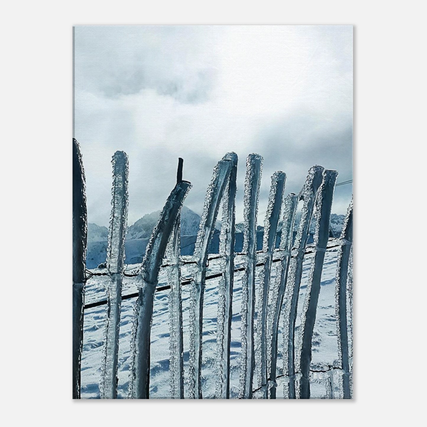 8261c2c2-74c9-4c40-8080-c40b29d9c562