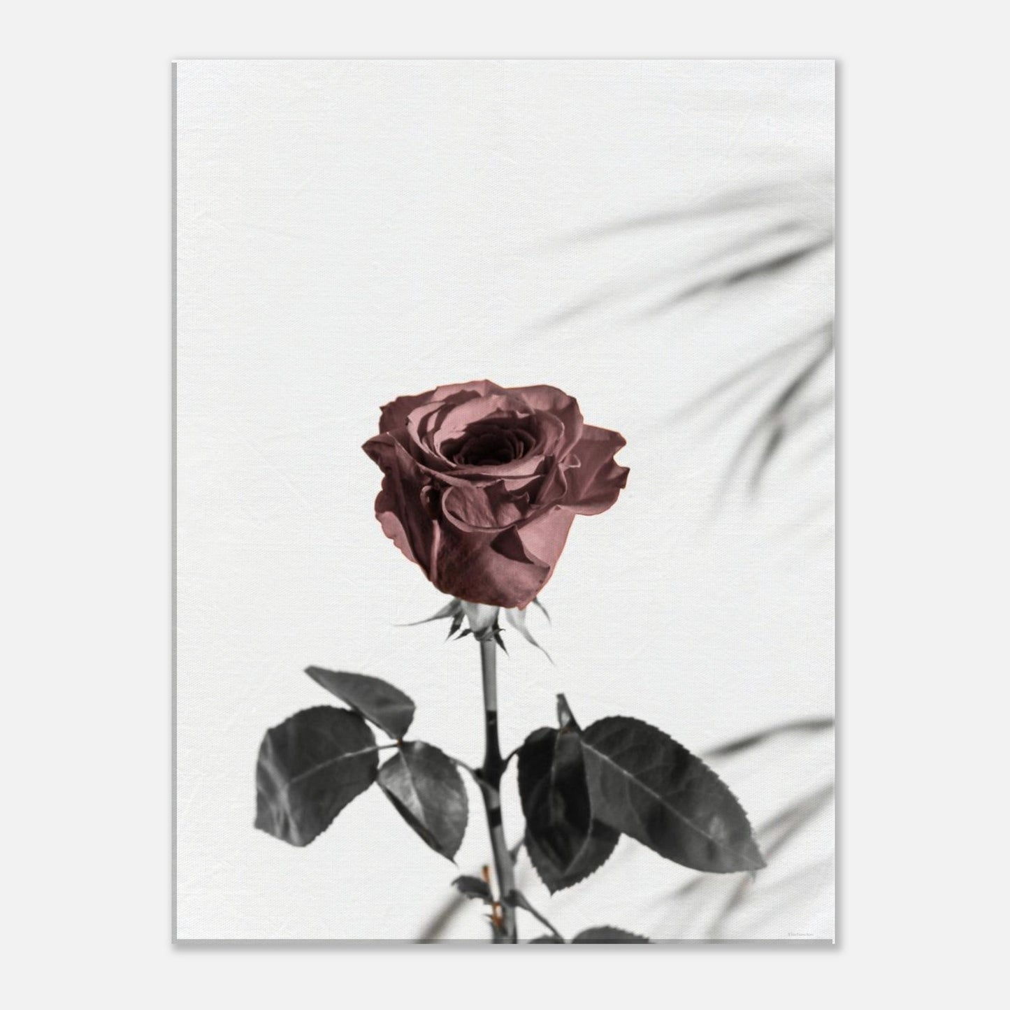 827650a7-4602-42eb-b334-92097f6891b5