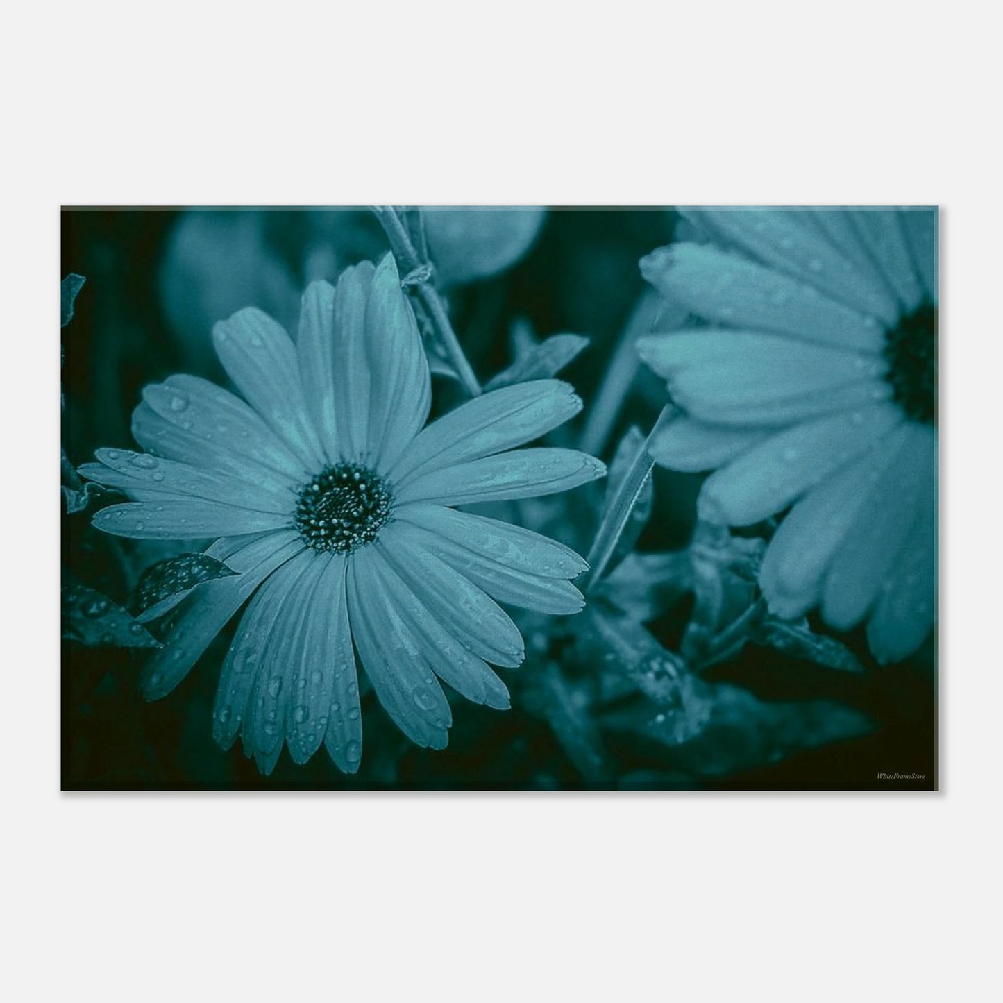 82900801-f8ed-4f27-bc1d-7c8ca12cfd2f
