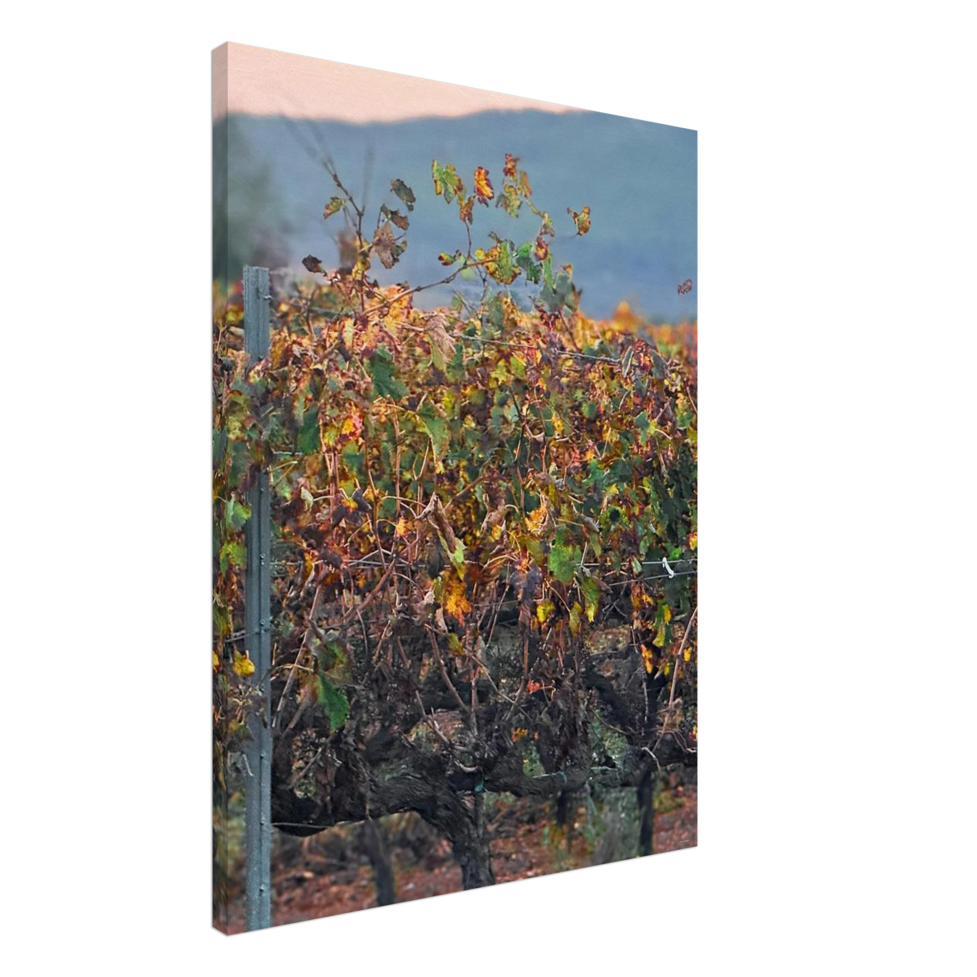 82992f5c-4790-4961-8a2a-b74fe628aa82