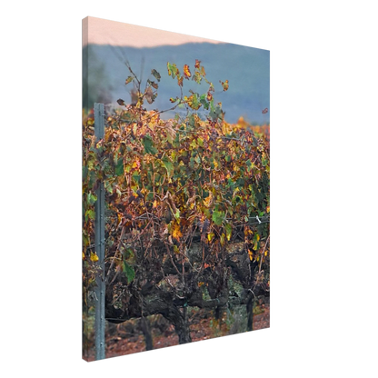 82992f5c-4790-4961-8a2a-b74fe628aa82