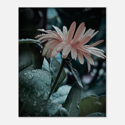 82bfec56-b9f1-4fe6-bd58-ec1e61783088