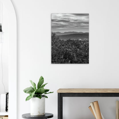 831e4def-3481-49a0-955d-70806a6435a5