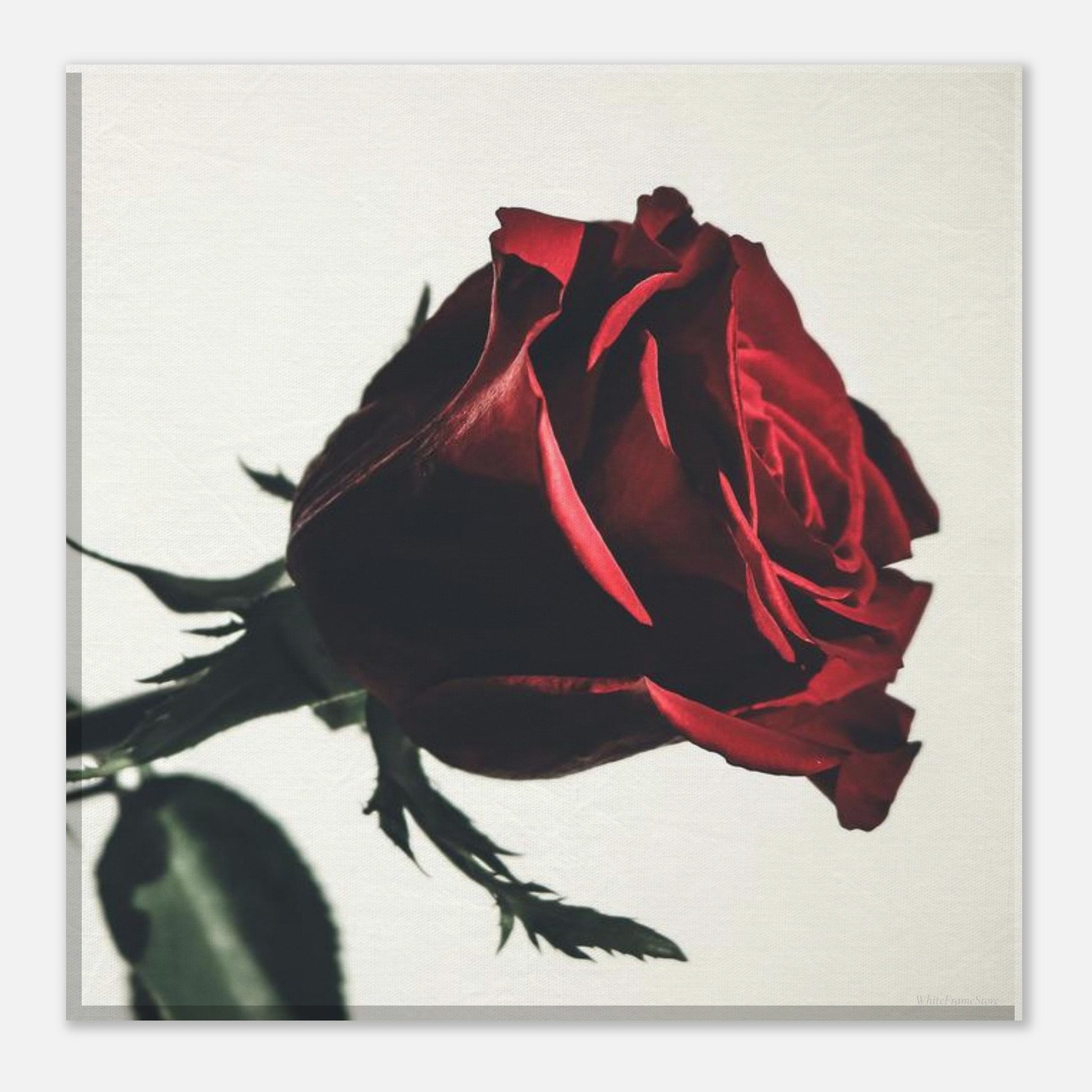 8327b4ad-1eef-4a04-a4ed-64b038d22582