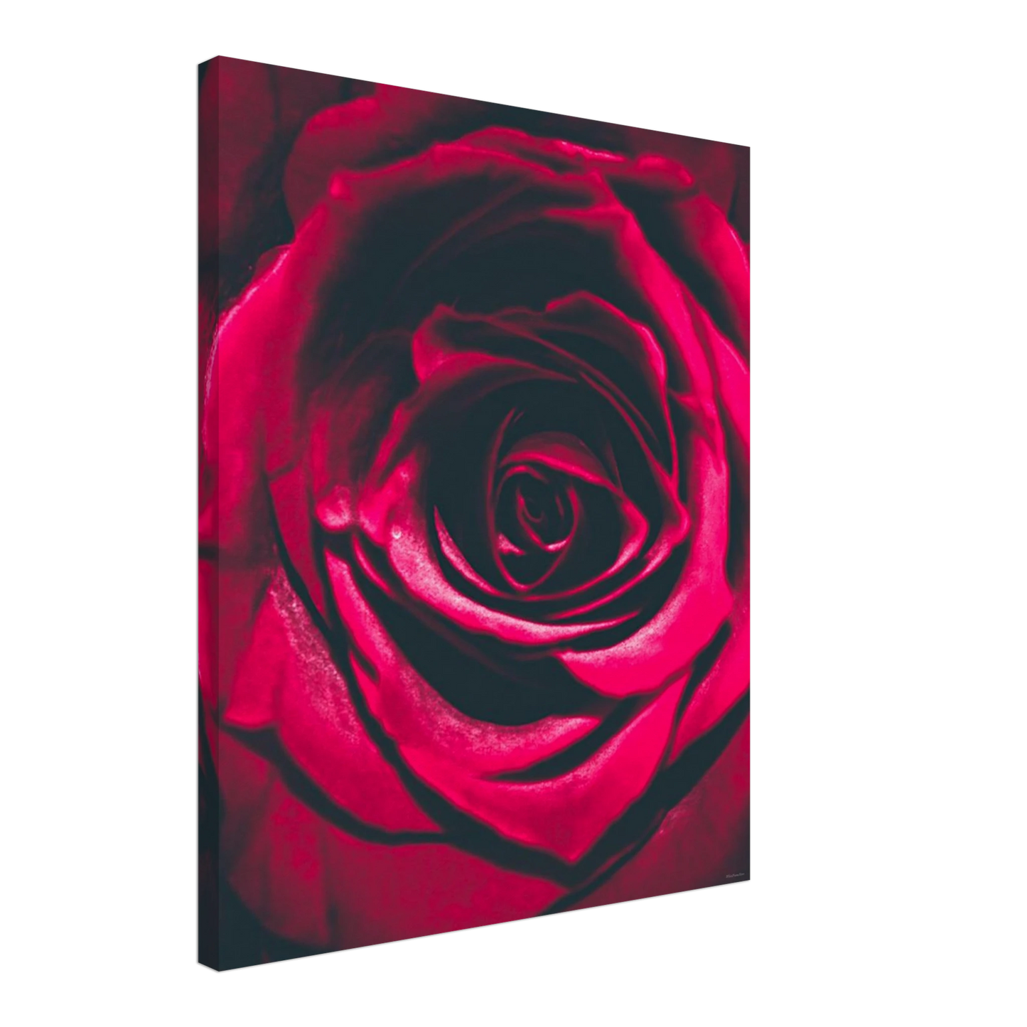 833a941a-4c12-4835-b3aa-a16e85e73872