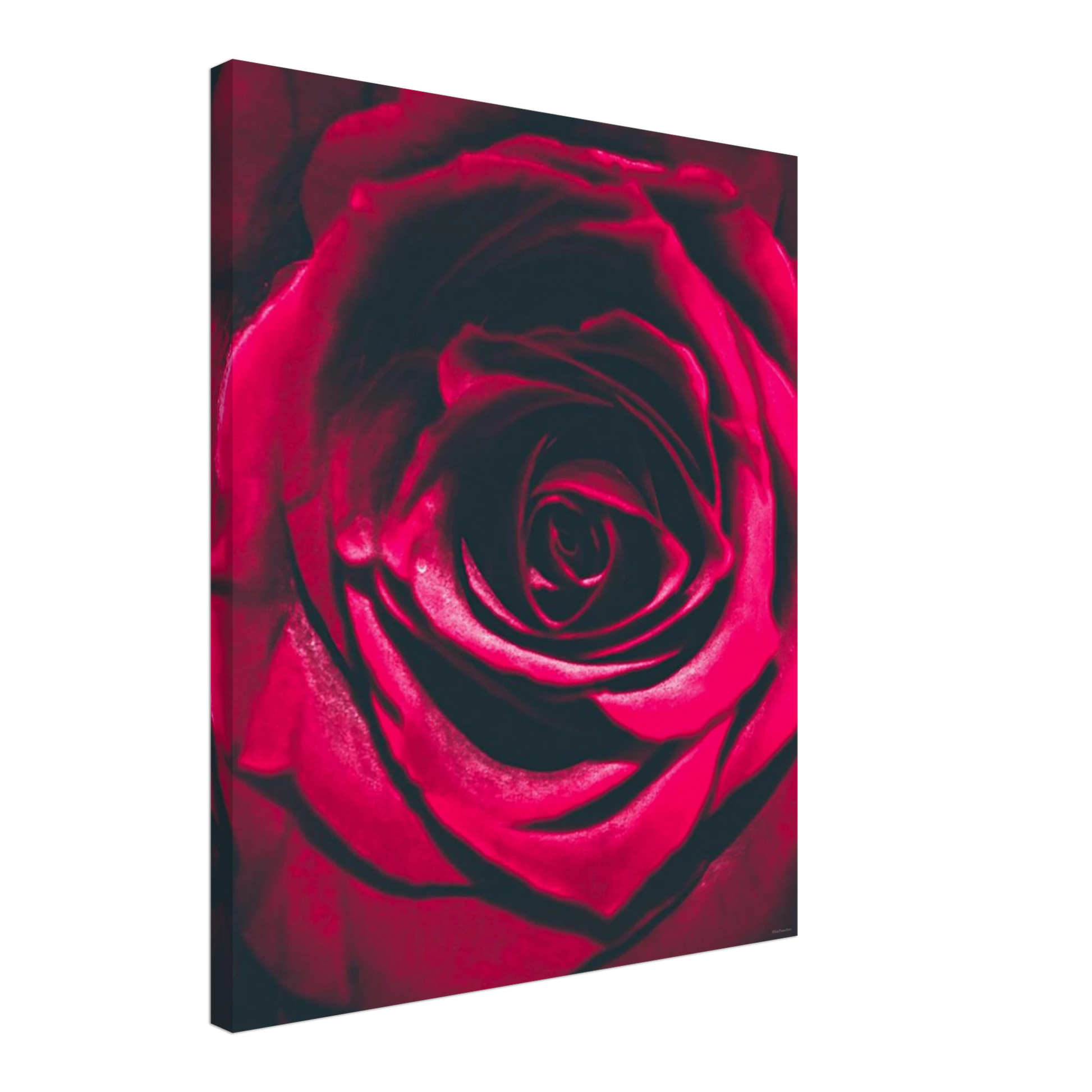 833a941a-4c12-4835-b3aa-a16e85e73872