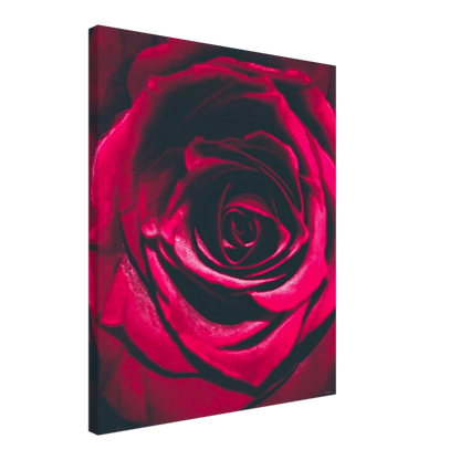 833a941a-4c12-4835-b3aa-a16e85e73872