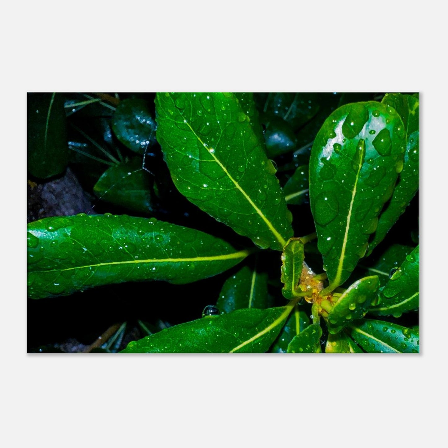 8343984a-6259-4143-ab14-d612aa85899a