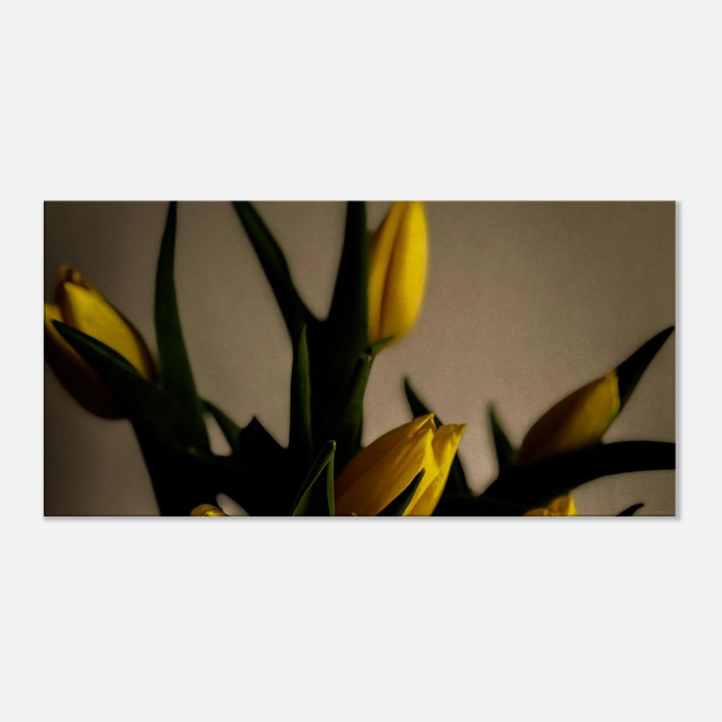 8348d6f3-8c90-4645-9b9c-41073f0789da