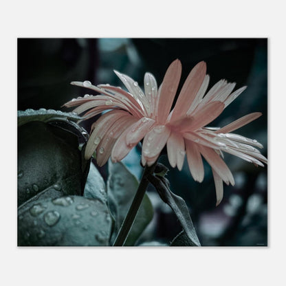 836fea95-a1d2-4a5d-9ce5-8d1bd1d5d5db