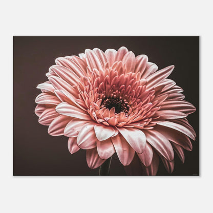 837cb5df-211f-4d2d-8f0f-1f3184db85e2