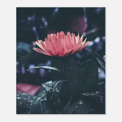 8393df16-1b04-4e02-a8f0-b27de7efad15