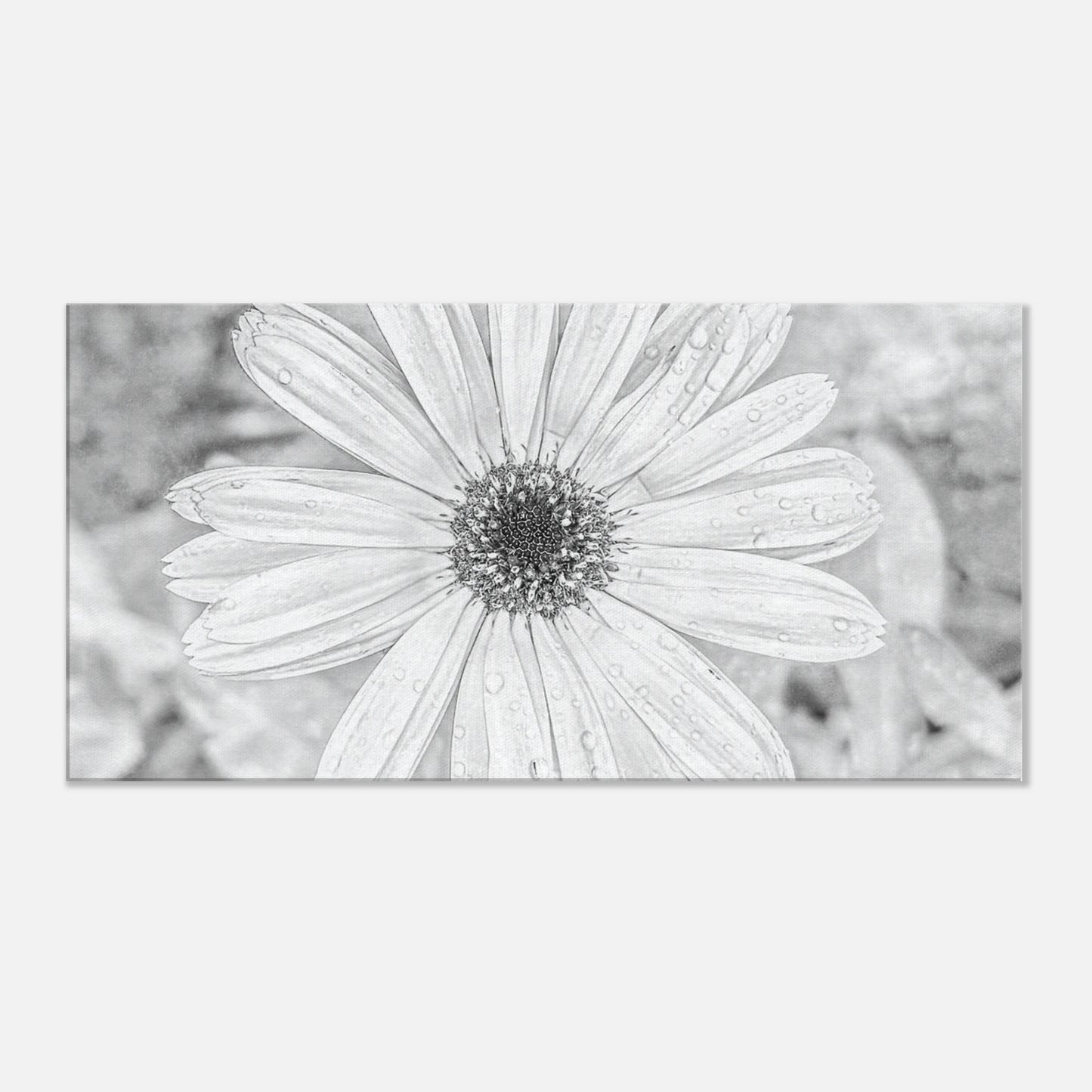 83942a2d-51d8-498f-bd56-3862ac65ca70