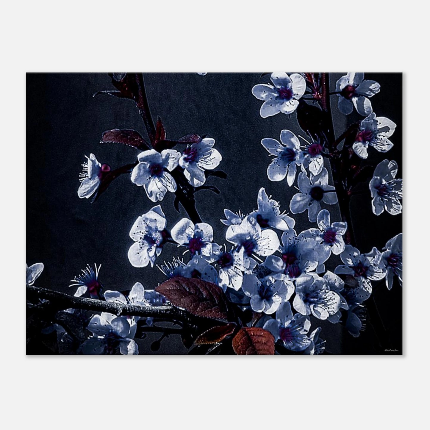 83d974ca-2757-48b1-a577-02d95ec2318d