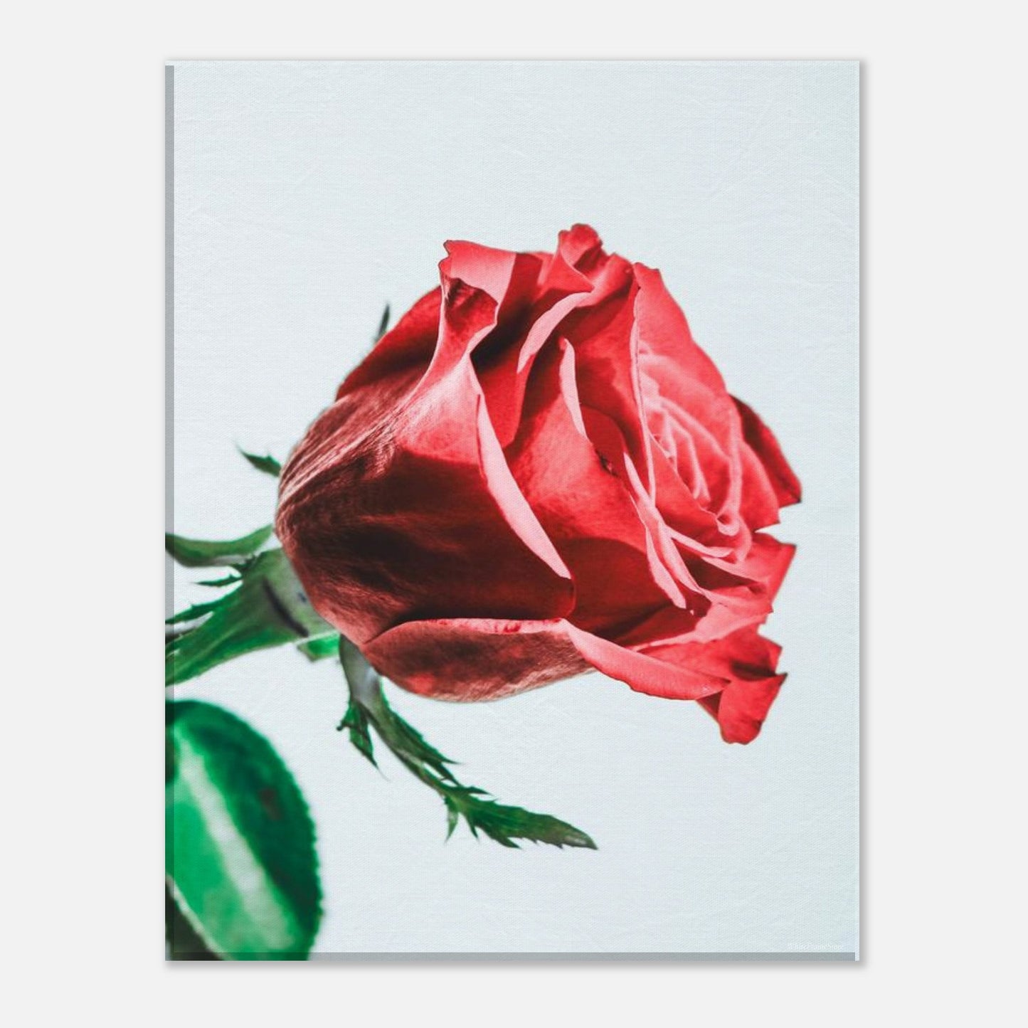 83d976e4-70f9-4961-ac29-3cc6948a073e