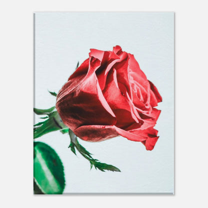 83d976e4-70f9-4961-ac29-3cc6948a073e