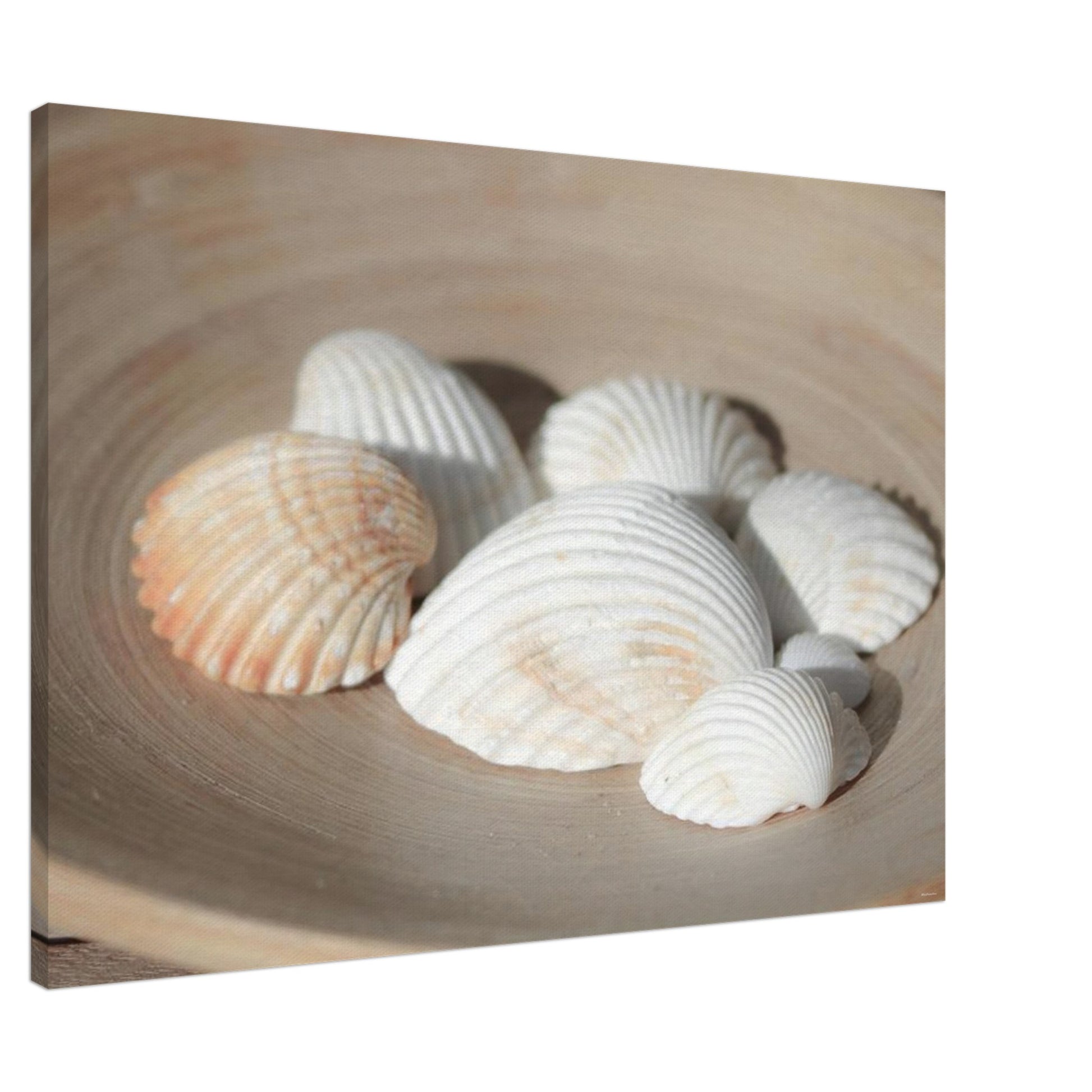 83db6bf0-6aea-42b2-8cb7-8c804e1906cb