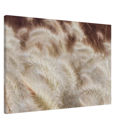 83ddfffc-72d2-4bc1-a1f3-a71671ef2668