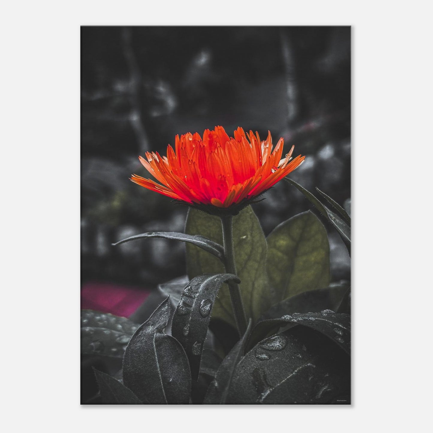 83e29d4b-69bd-4f0d-8955-98093a579515