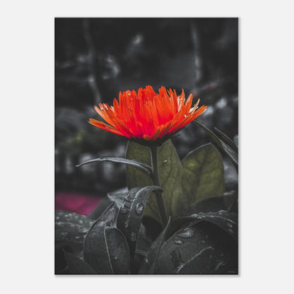 83e29d4b-69bd-4f0d-8955-98093a579515