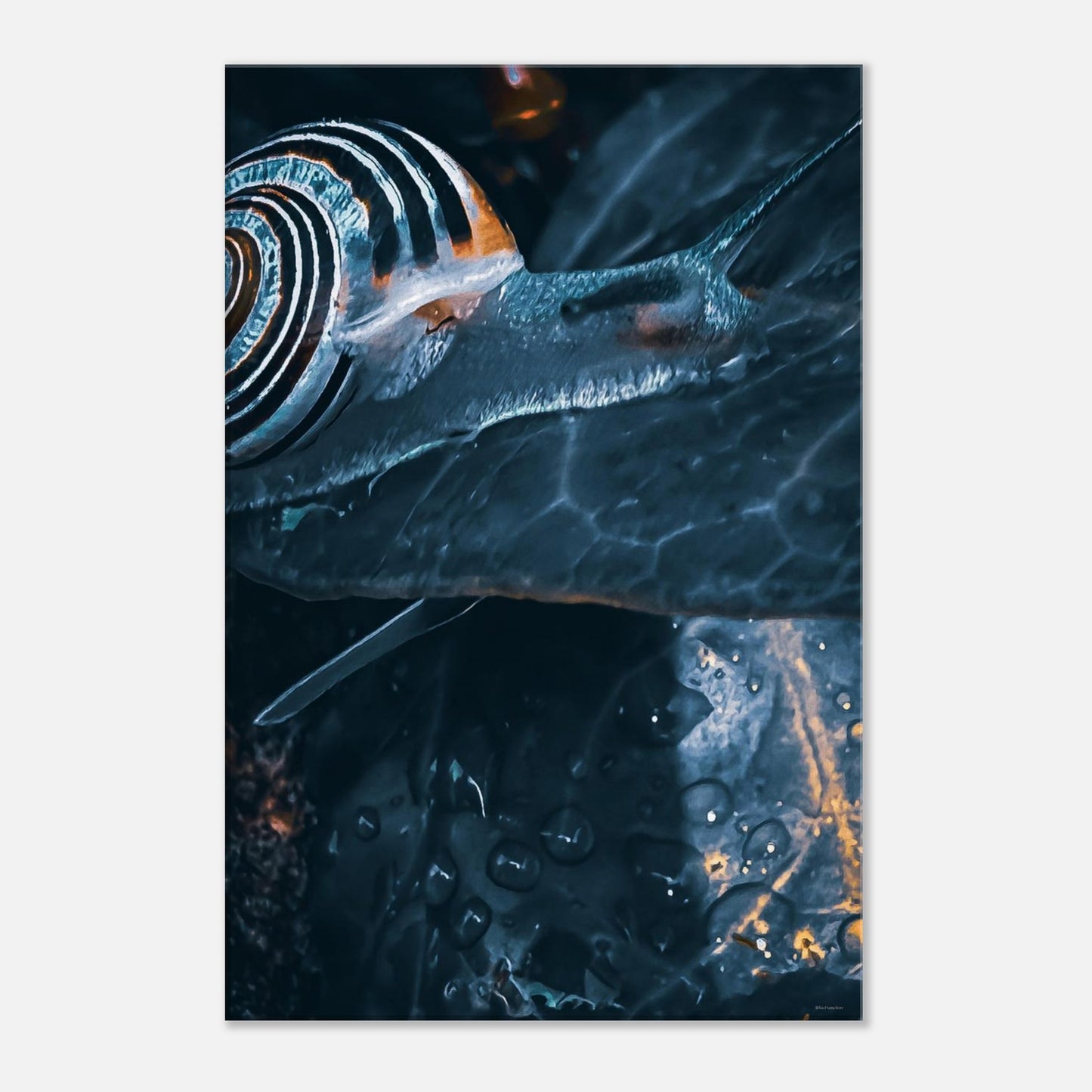 8444e9ad-5593-4f4b-b262-09eff8abc8e9