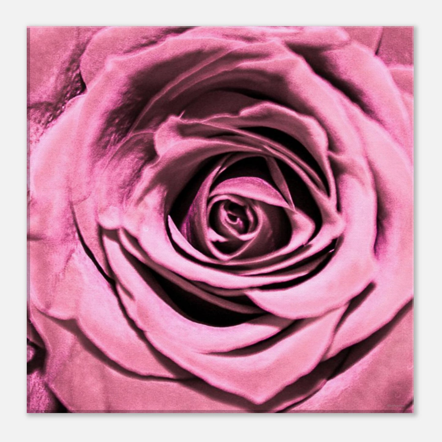 84520d65-950b-486a-8714-d0cc8573fd14