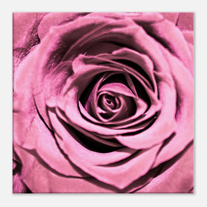 84520d65-950b-486a-8714-d0cc8573fd14