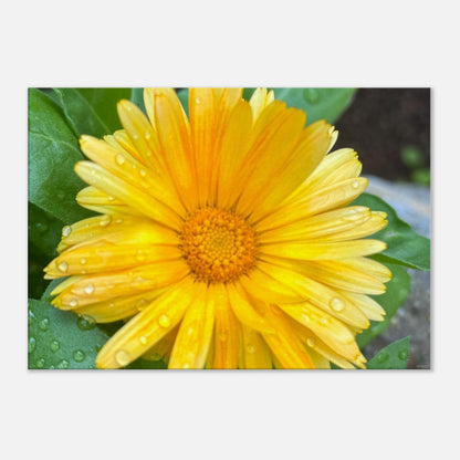 84985596-0909-4361-87f6-35ed641ff9bd