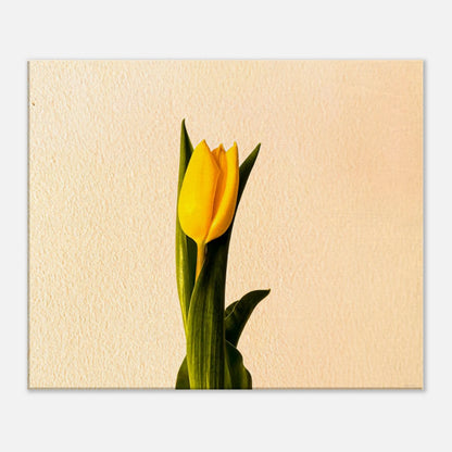 84add2cc-c914-4a2e-a035-ec7b191c8c57