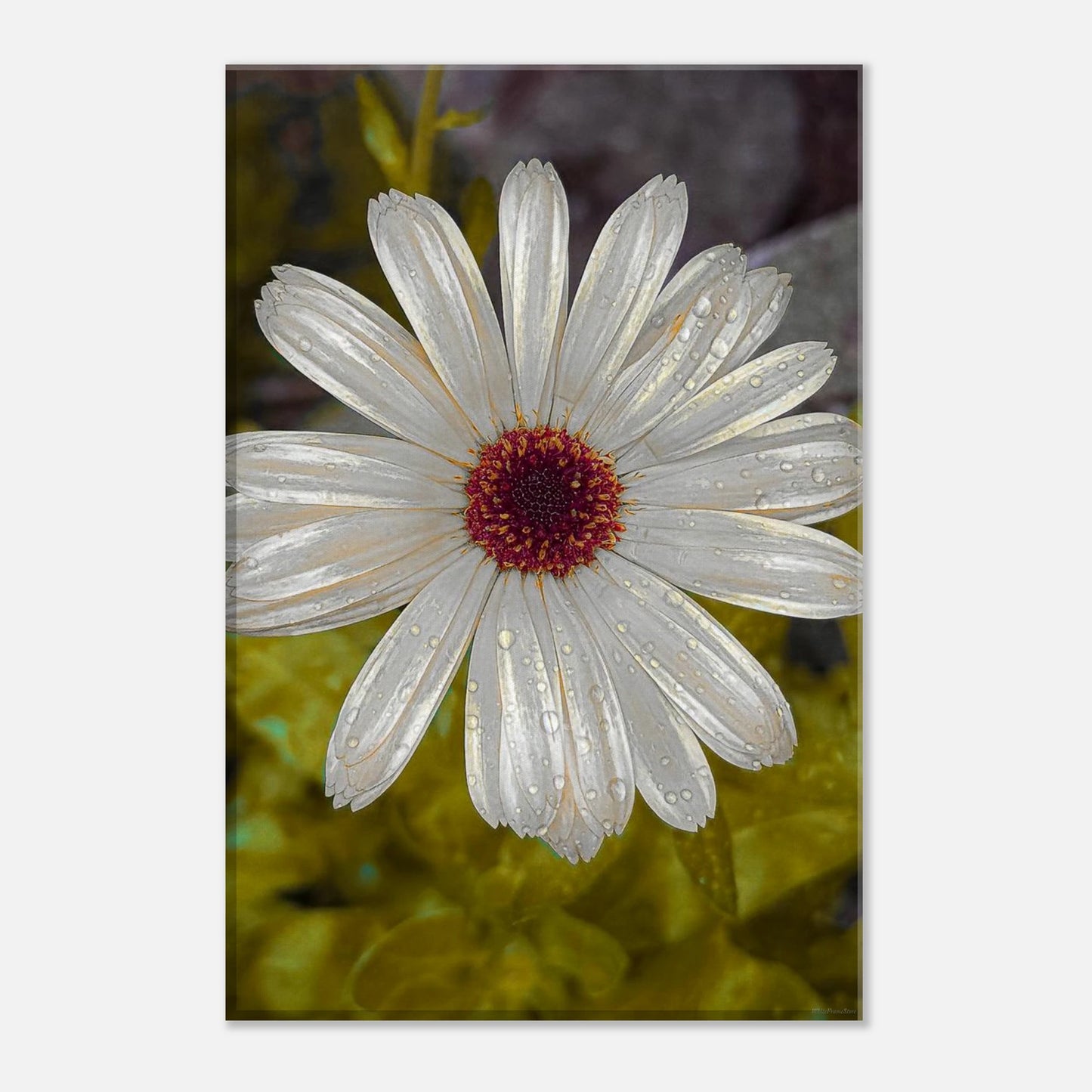 84b35d67-008a-484b-8476-c00eac787061