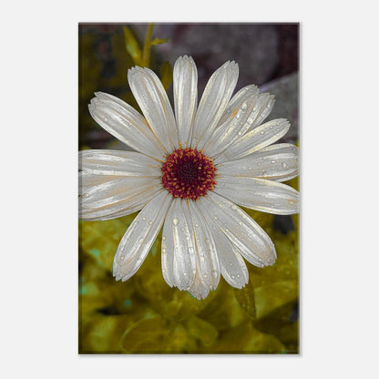 84b35d67-008a-484b-8476-c00eac787061