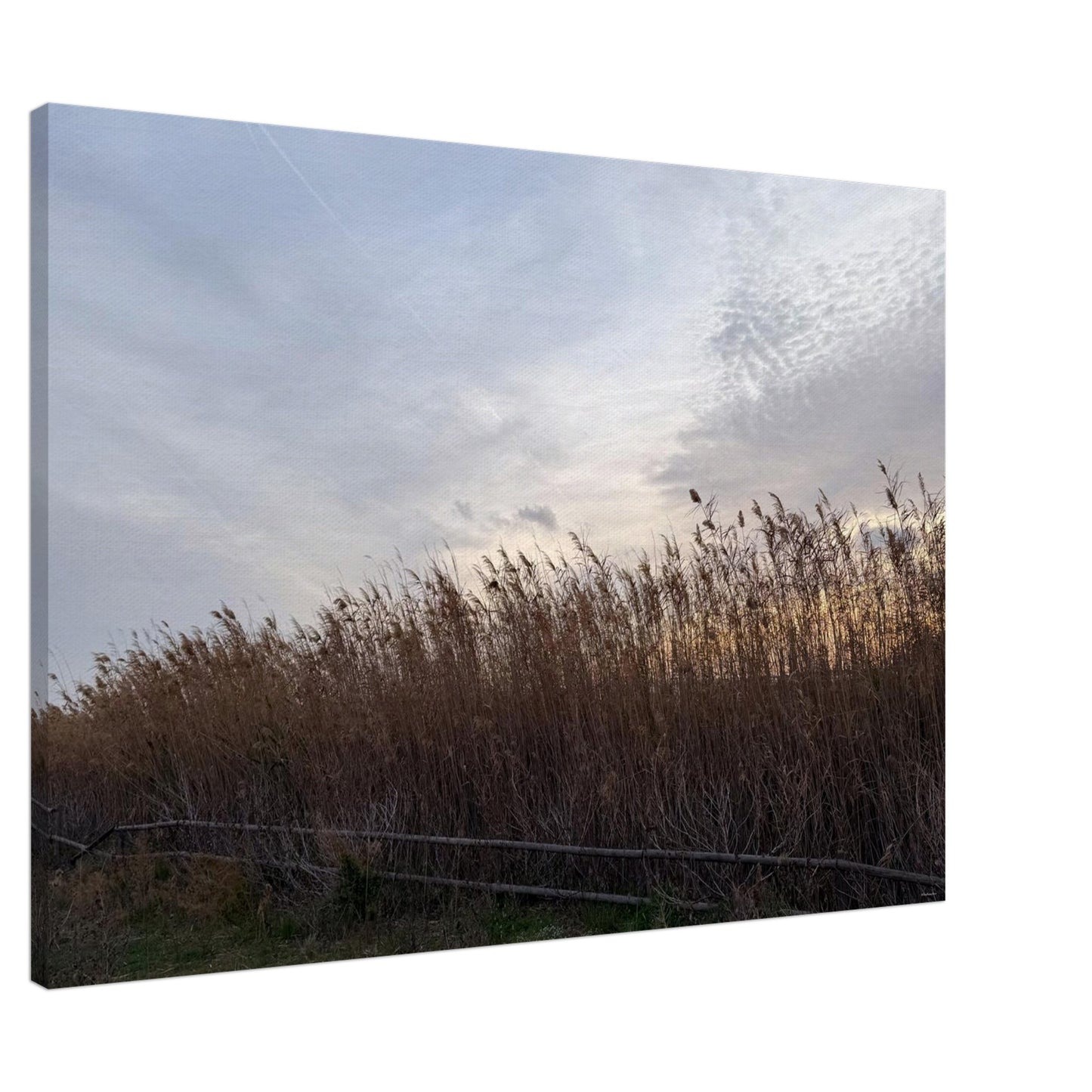 84be744c-eee0-420e-97c4-f43bb14c8f66