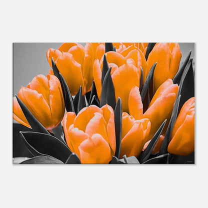 8502066d-8f09-408d-a2eb-5fcaba45fd31