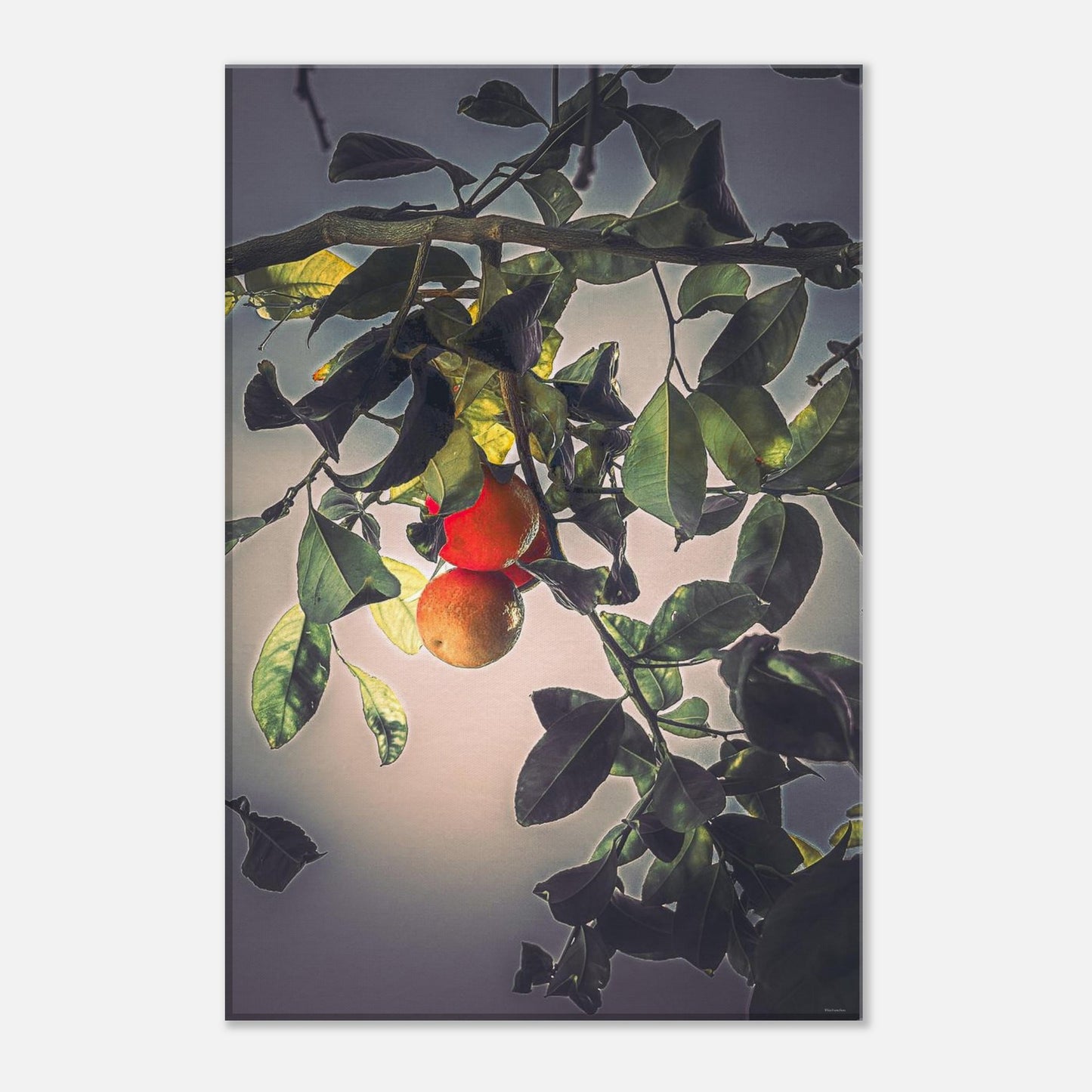 85043a0b-86fc-4e19-89a8-8be6b4d76d79