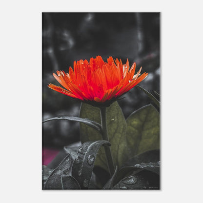 85196e6f-cf73-4ad3-a3e1-42355abda463