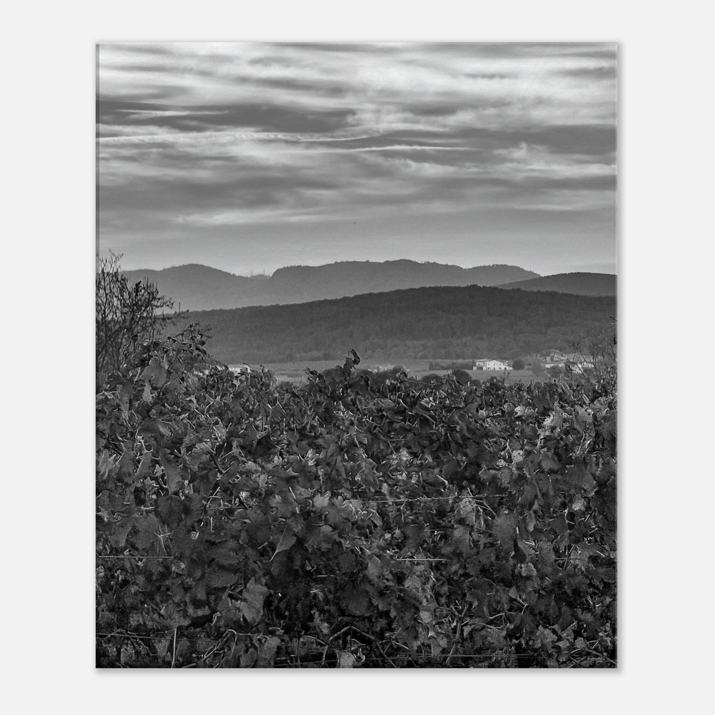 852c398c-1b2a-413a-9cd9-b2869c36eb02